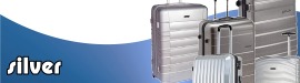 Silver Suitcases